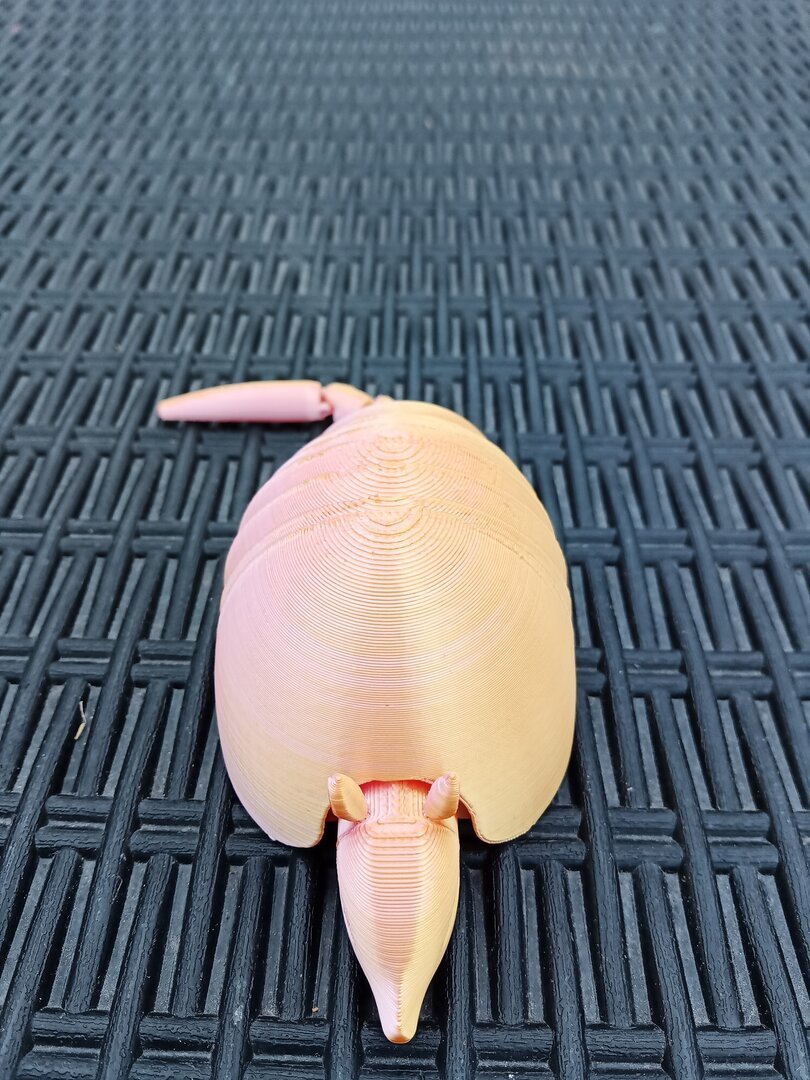 Armadillo (pink & gold) - 3D Printed
