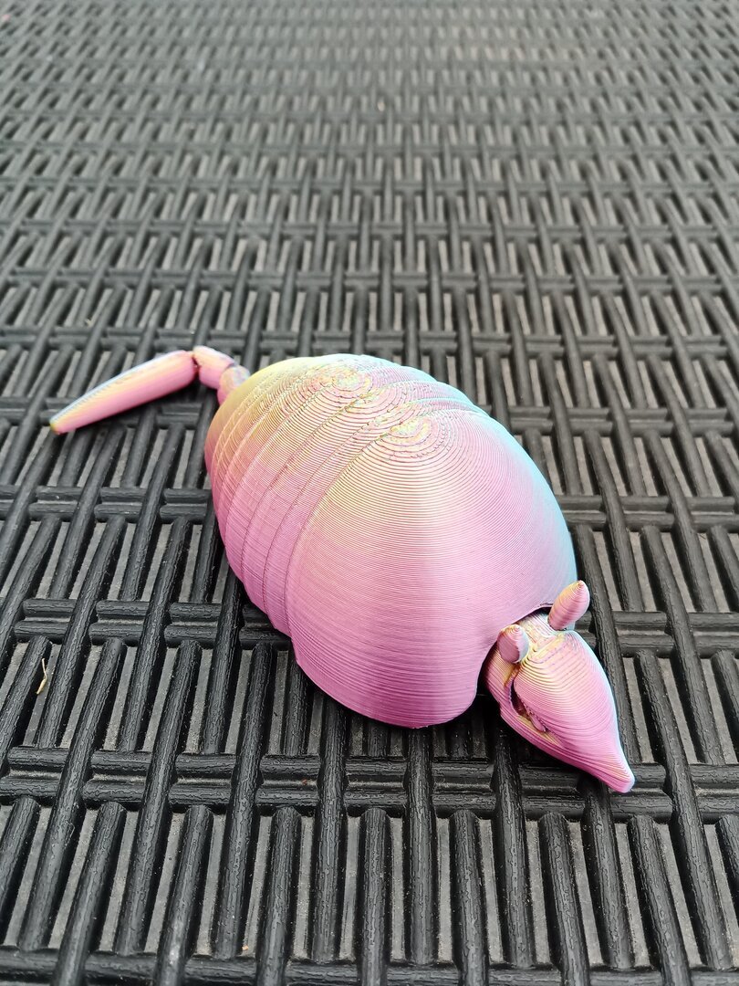 Armadillo (Tri colour) - 3D Printed