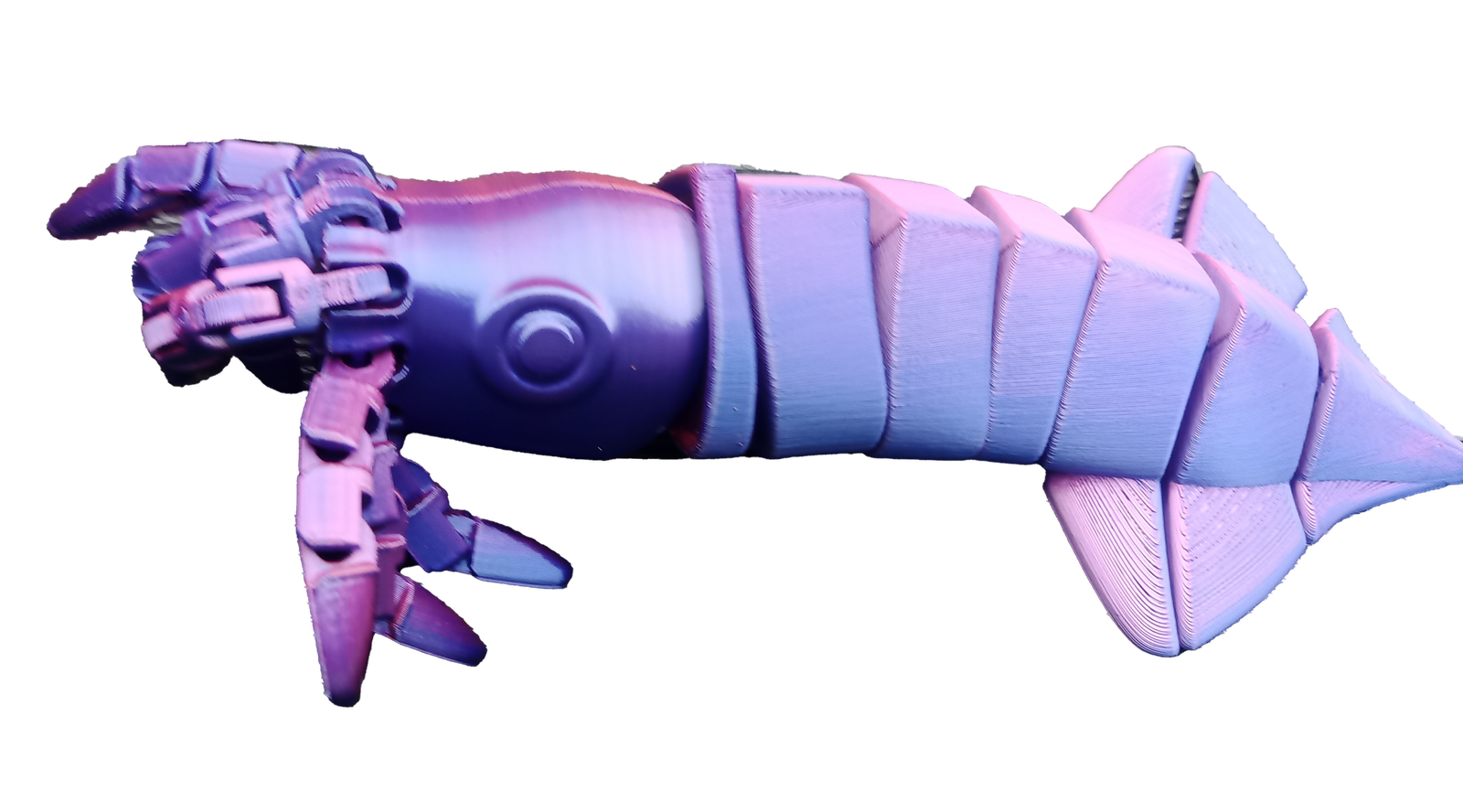 Squid (Tri colour) - 3D Printed