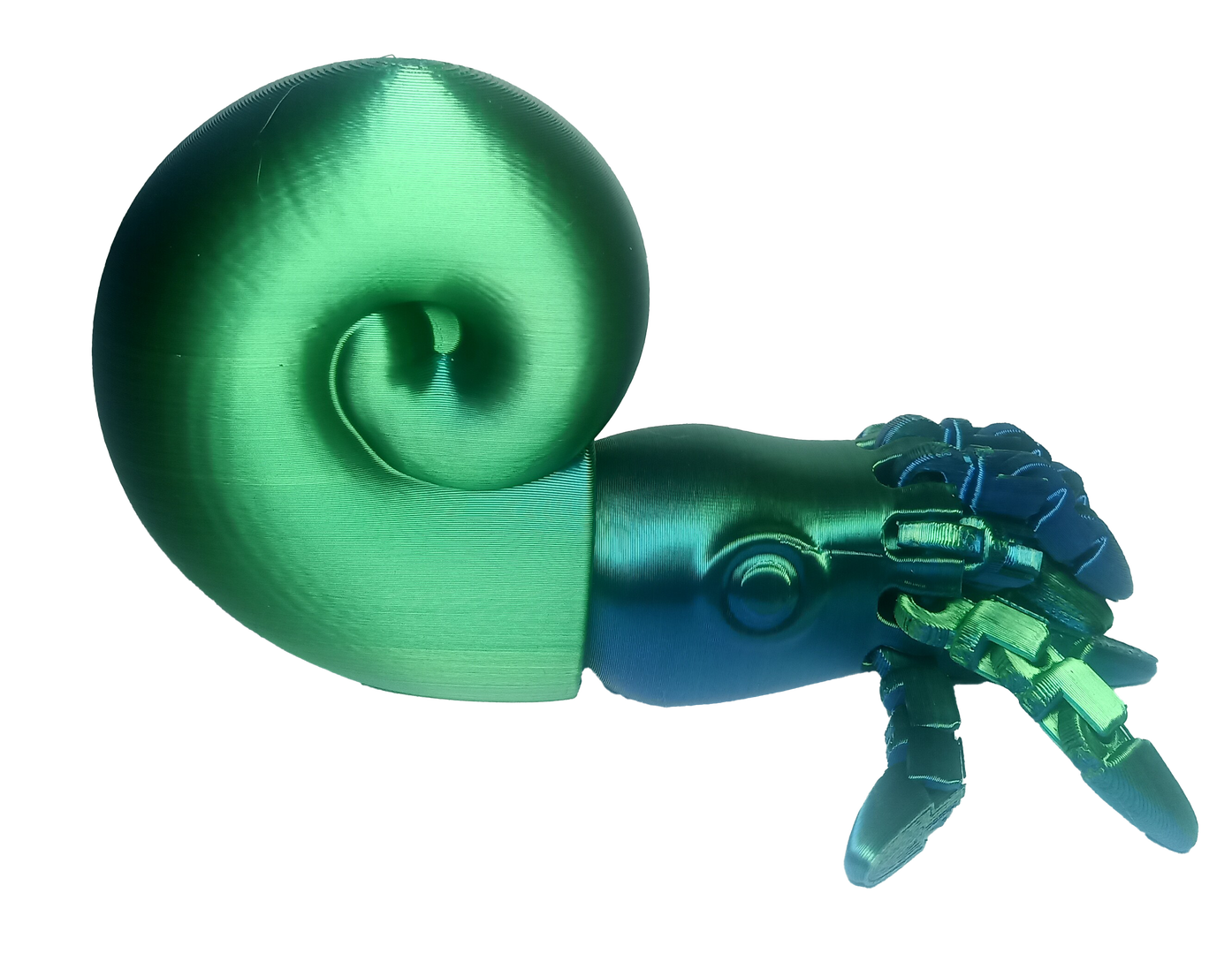 Squid round (blue & green) - 3D Printed